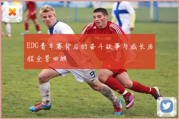 EDG青年赛背后的奋斗故事与成长历程全景回顾