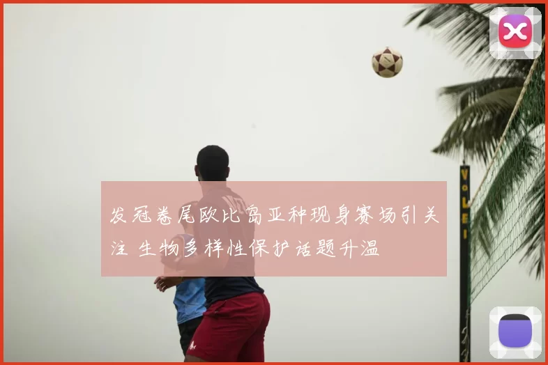 发冠卷尾欧比岛亚种现身赛场引关注 生物多样性保护话题升温