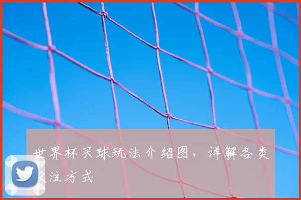 世界杯买球玩法介绍图,详解各类投注方式