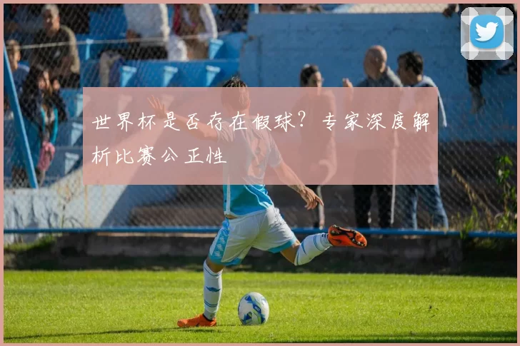 世界杯是否存在假球?专家深度解析比赛公正性