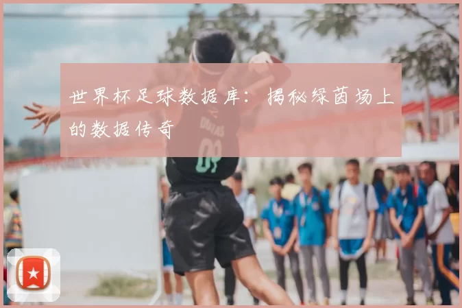 世界杯足球数据库：揭秘绿茵场上的数据传奇