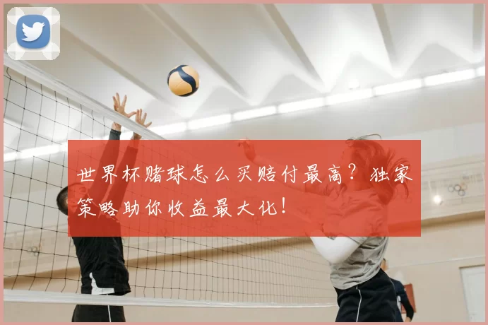 世界杯赌球怎么买赔付最高?独家策略助你收益最大化!