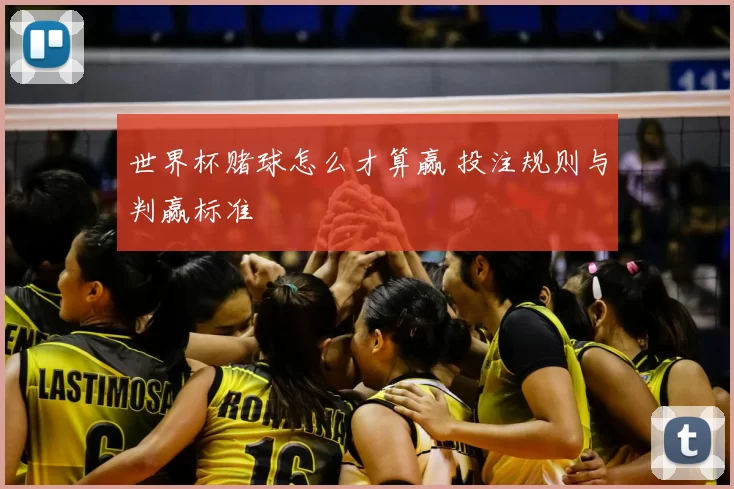 世界杯赌球怎么才算赢 投注规则与判赢标准