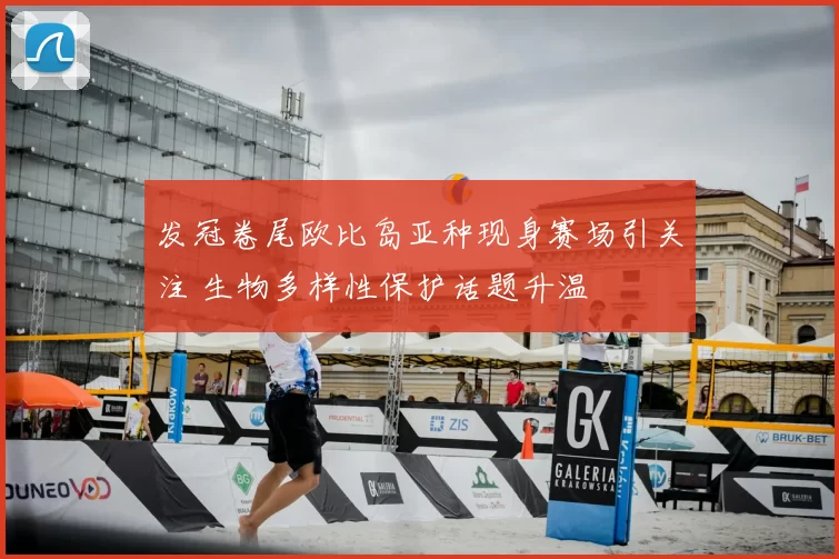 发冠卷尾欧比岛亚种现身赛场引关注 生物多样性保护话题升温