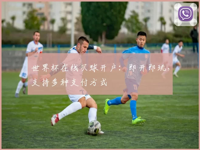 世界杯在线买球开户:即开即玩,支持多种支付方式