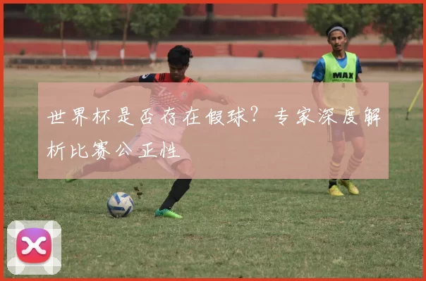世界杯是否存在假球？专家深度解析比赛公正性