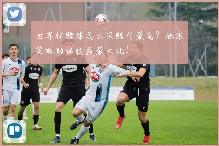 世界杯赌球怎么买赔付最高?独家策略助你收益最大化!